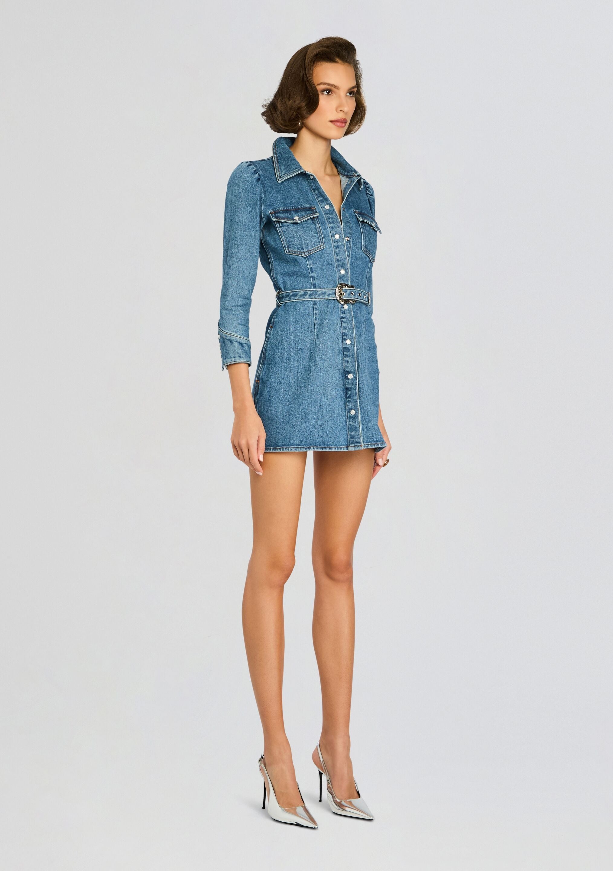 Wiley Denim Dress