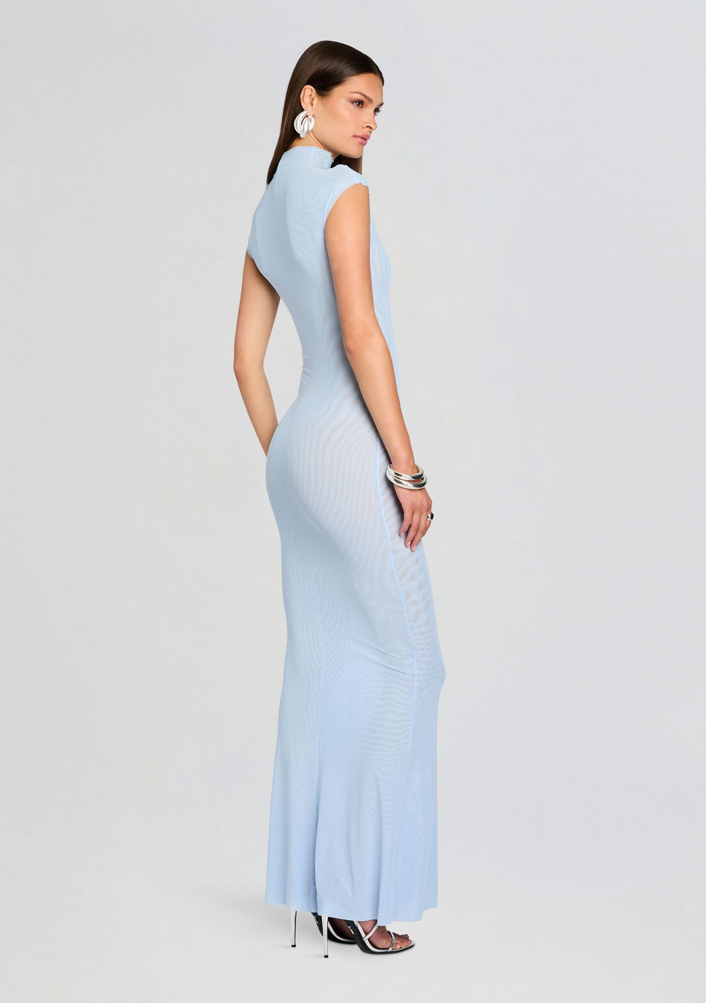 Laissa Mesh Maxi Dress