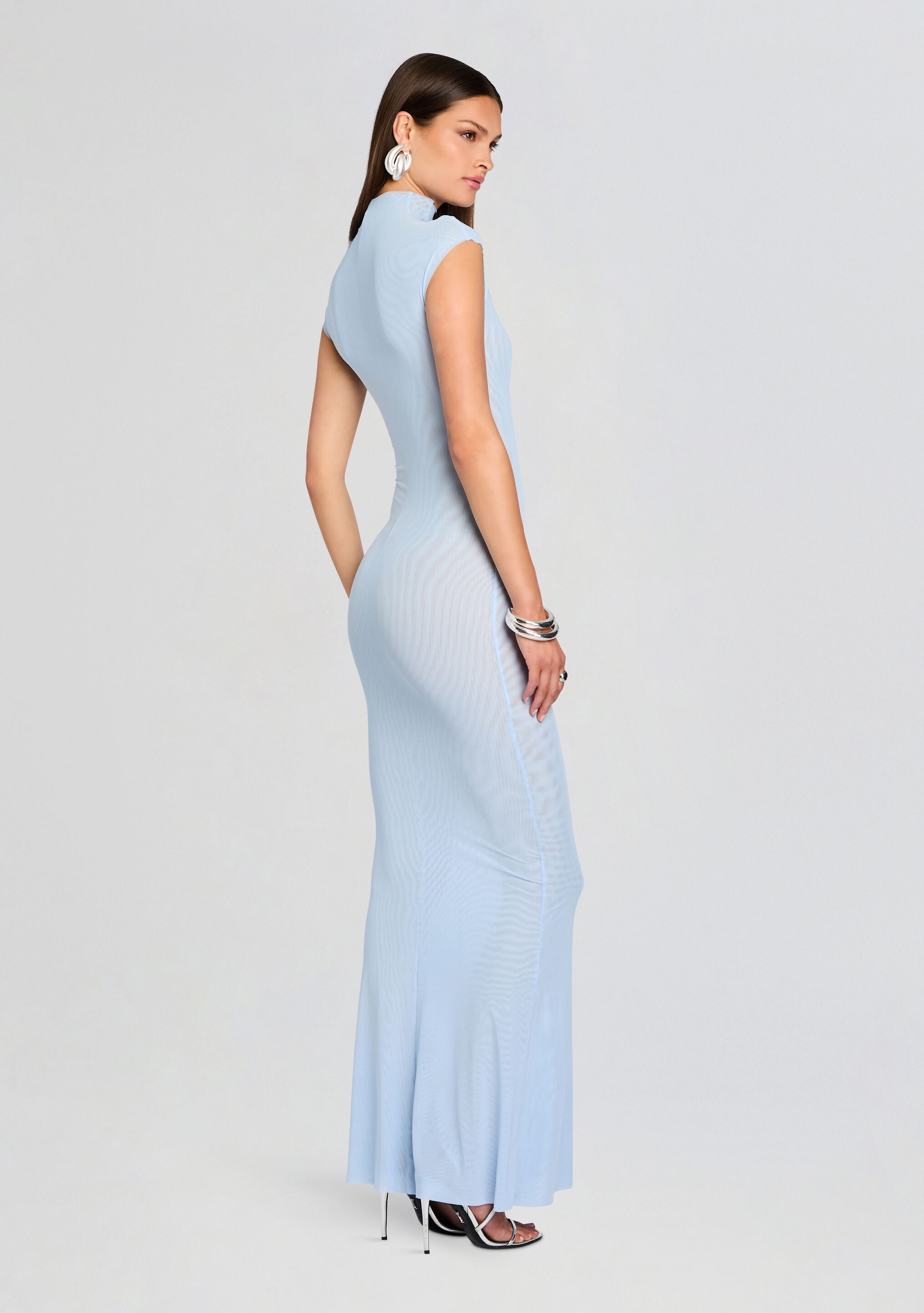 Laissa Mesh Maxi Dress